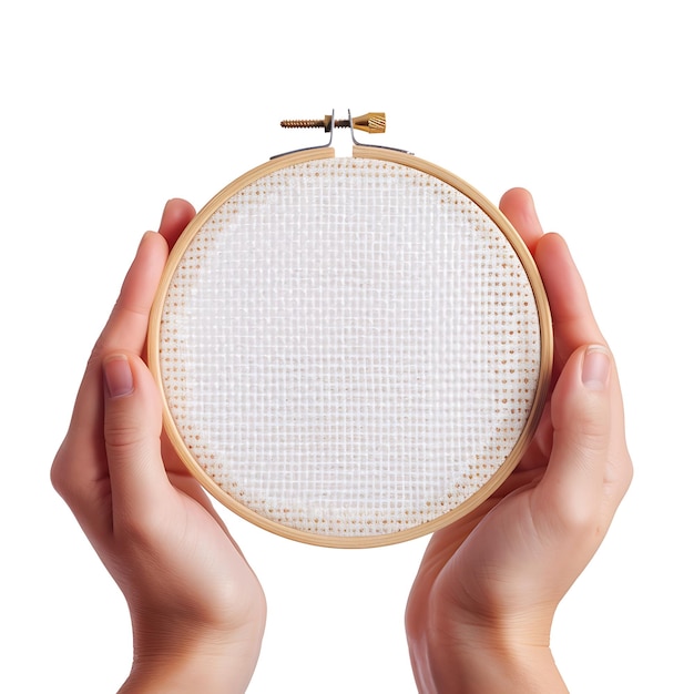 Mâini ținând un proiect finalizat